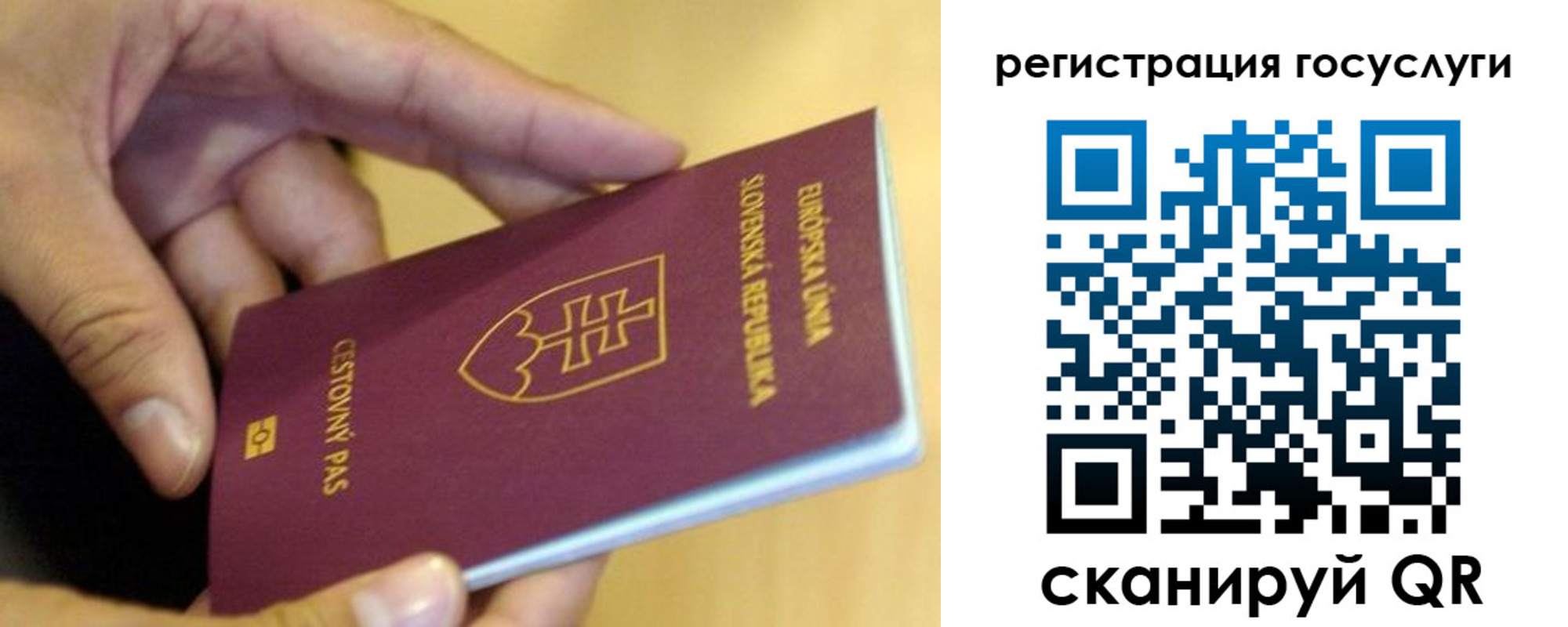 прописка в квартире в Котовске